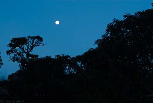 16 - Lua Cheia - 19/05/2016 - 17:29