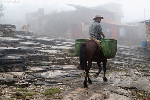 S&atilde;o Tom&eacute; das Letras