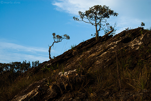 24 - Morro do Cruzeiro - 23/06/2016 - 16:54