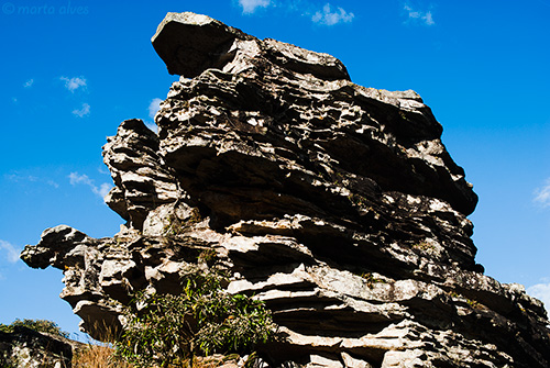 27 - Parque Ant&ocirc;nio Rosa - 07/07/2016 - 08:32