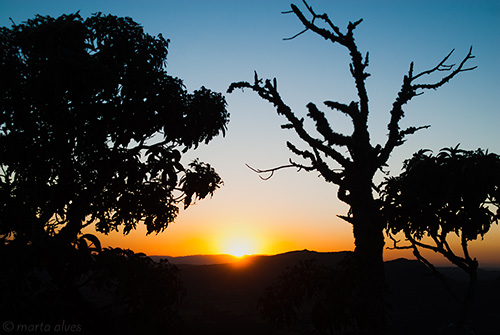30 - Cruzeiro - 27/07/2016 - 06:38