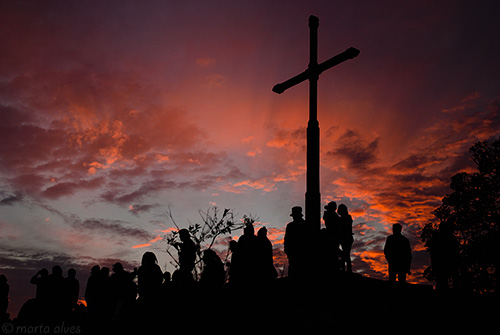 43 - Cruzeiro - 20/08/2016 - 06:14