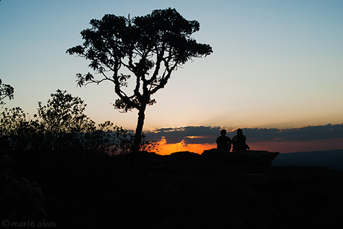 43 - Cruzeiro - 29/08/2016 - 17:41