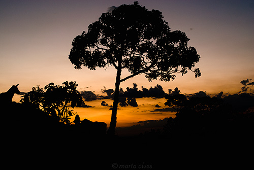 46 - Pir&acirc;mide - 07/09/2016 - 05:51