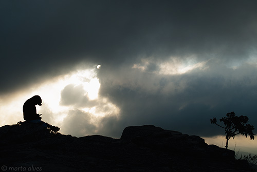 48 - Pir&acirc;mide - 10/09/2016 - 06:46