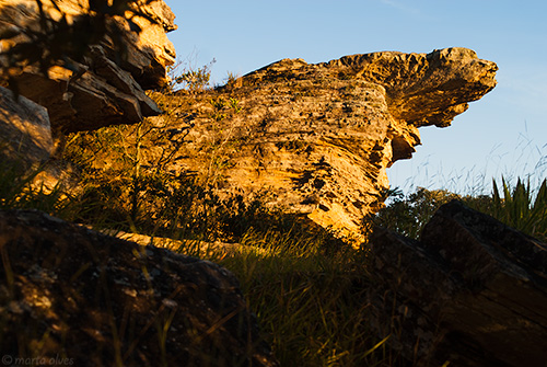 4 - Toca do Le&atilde;o - 02/05/2016 - 06:35