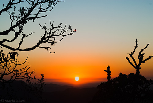 52 - Cruzeiro - 23/09/2016 - 05:51
