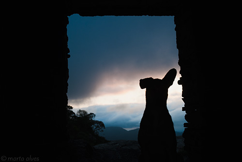 59 - Pir&acirc;mide - 27/09/2016 - 05:58