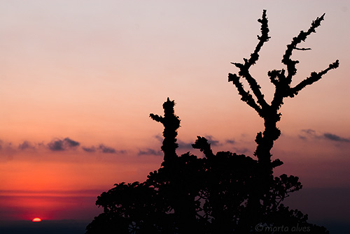 62 - Cruzeiro - 30/09/2016 - 05:49