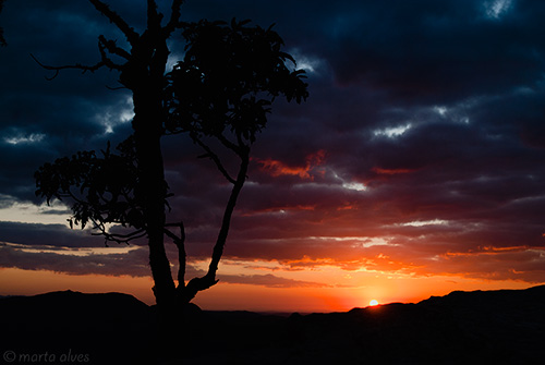 65 - Cruzeiro - 07/10/2016 - 05:39