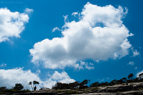 70 - Parque Ant&ocirc;nio Rosa, 09/10/2016 - 10:06