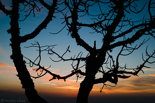 75 - Parque Ant&ocirc;nio Rosa, 10/10/2016 - 18:07