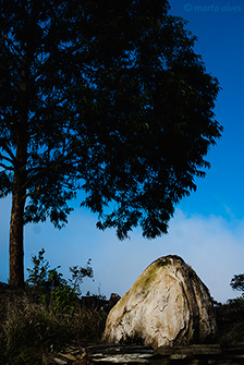 76 - Parque Ant&ocirc;nio Rosa, 12/10/2016 - 07:58