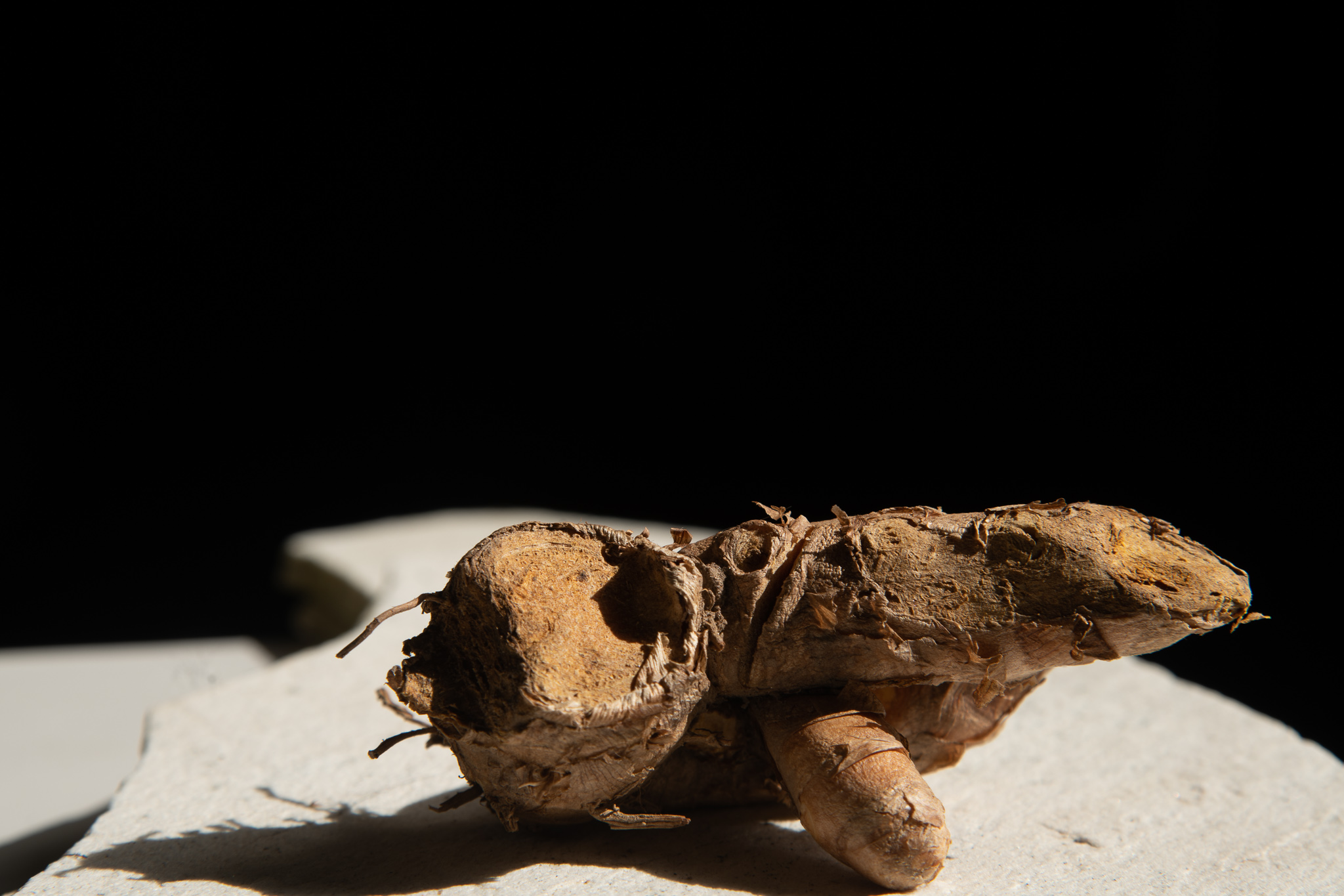 A&ccedil;afr&atilde;o-da-terra