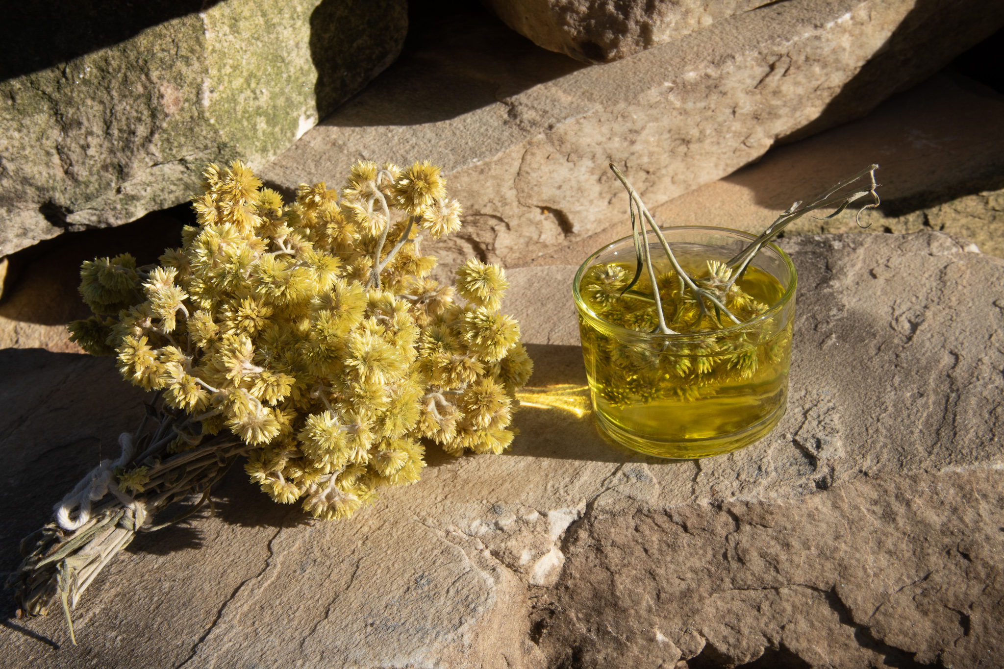 Ch&aacute; de Macela